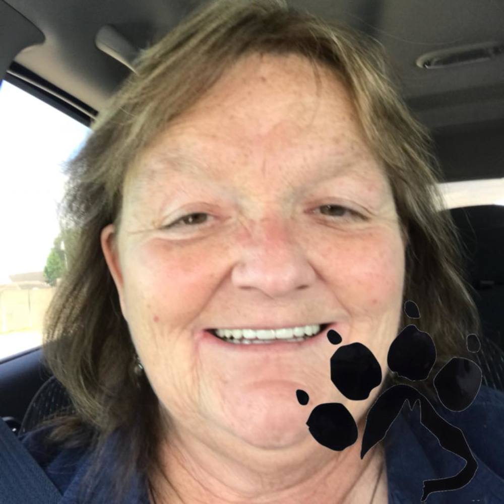 Meet your Posher, Teresa